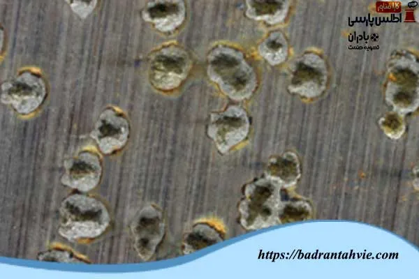 خوردگی حفره ای برج خنک کننده