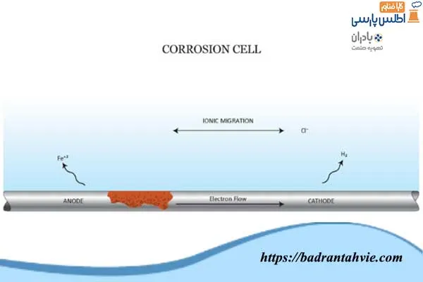 خوردگی سلولی پایه