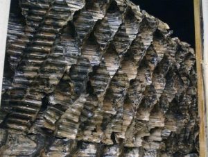 سختی آب برج خنک کننده