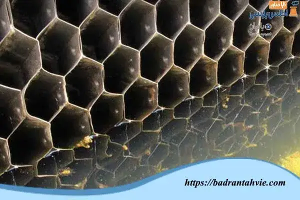 قرار دادن پکینگ برج خنک کننده در آب