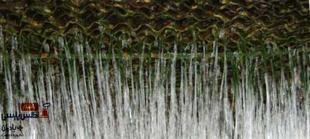 کنترل زیست توده‌ ها در برج‌های خنک کننده