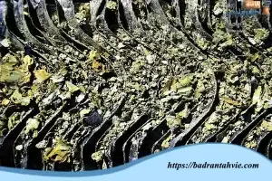 گرفتگی و انسداد پکینگ برج خنک کننده